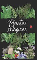 Plantas Mágicas