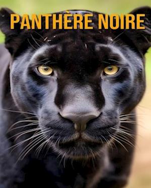 Panthère Noire