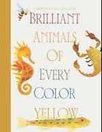 Brilliant Animals Of Every Color