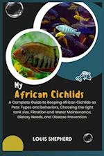 My African Cichlids