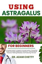 Using Astragalus for Beginners