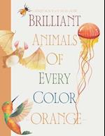 Brilliant Animals Of Every Color