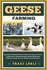 Geese Farming
