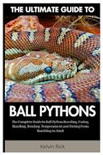 The Ultimate Guide To Ball Pythons