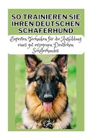 So Trainieren Sie Ihren Deutschen Schäferhund