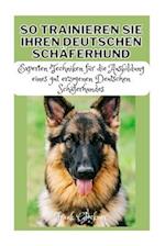 So Trainieren Sie Ihren Deutschen Schäferhund