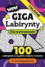 Giga Labirynty Dla Wytrwalych Zadania Logiczne dla Dzieci i Doroslych z Rozwi&#261;zaniami