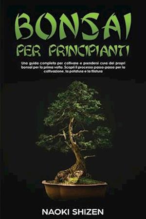 Bonsai per principianti