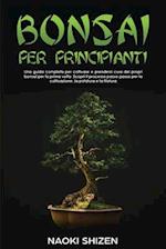 Bonsai per principianti