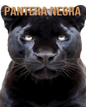 Pantera negra