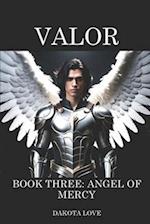 VALOR Book Three