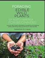 Foraging Edible Wild Plants of North America for Beginners
