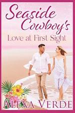 Seaside Cowboy's Love at First Sight 