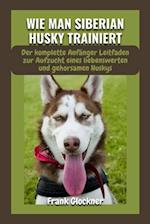 Wie Man Siberian Husky Trainiert