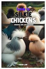 Guide to Silkie Chickens