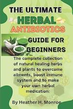 The ultimate herbal antibiotics guides for beginners