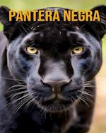 Pantera negra