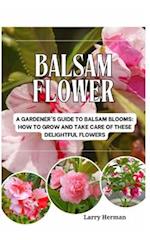 Balsam Flower