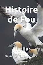 Histoire de Fou