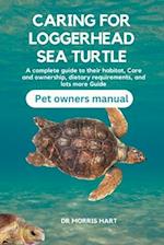Caring for Loggerhead Sea Turtle