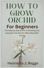 How To Grow Orchid For Beginners