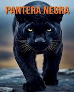 Pantera negra