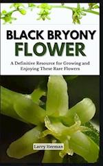 Black Bryony Flower