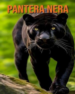 Pantera nera