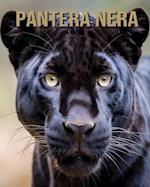 Pantera nera