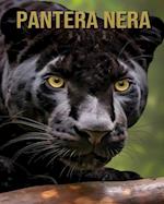 Pantera nera