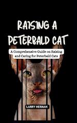 Raising a Peterbald Cat