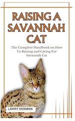 Raising a Savannah Cat