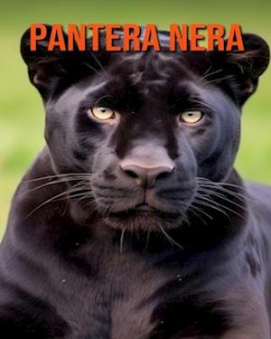 Pantera nera