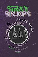 Stray Bishops
