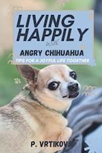 Living Happily with Angry Chihuahua