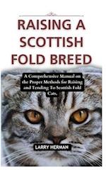 Raising a Scottish Fold Breed