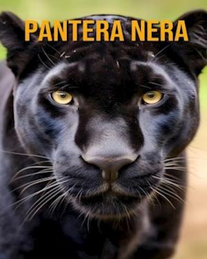 Pantera nera