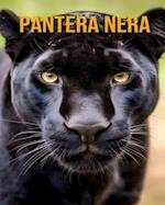 Pantera nera