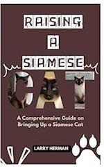 Raising a Siamese Cat
