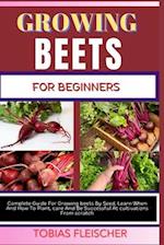 Growing Beets for Beginners