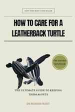 How to Care for a Leatherback Turtle