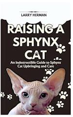 Raising a Sphynx Cat