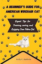 A Beginner's Guide to American wirehair Cats