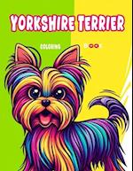 Yorkshire Terrier Coloring book