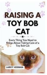 Raising a Toy Bob Cat