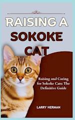 Raising a Sokoke Cat