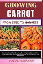 Growing Carrot from Seed to Harvest