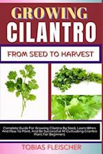 Growing Cilantro from Seed to Harvest