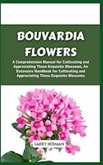 Bouvardia Flowers