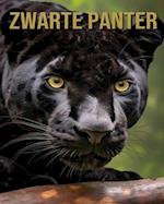 Zwarte Panter